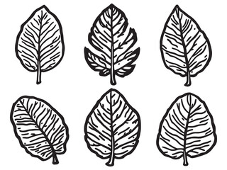 Simple Banana Outline Vector Illustration In Black Lines