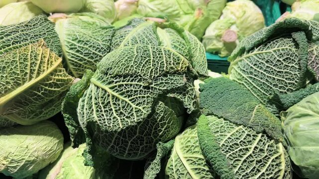 Savoy cabbage close up in grocery store display