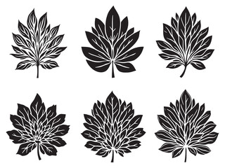 Simple Chrysanthemum Leaf Illustration Perfect for Graphic Use