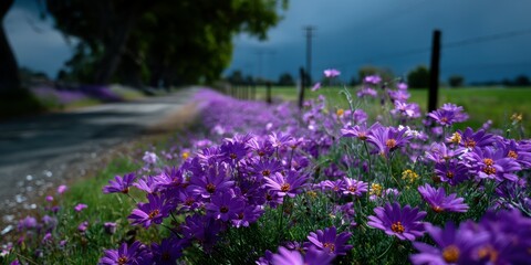 Vibrant purple flowers lining a winding road under a cloudy sky during the afternoon hours