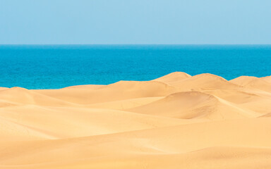 Dunes of Maspalomas, grand canary, in summer