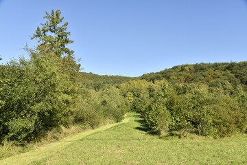 Pelouse à côté d'une forêt à Yvoir (Dinant)