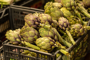 Fresh green artichokes with green leaves displayed on a counter in a street food market, close up