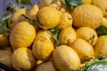 Organic yellow lemons displayed in a fruit and vegetable market