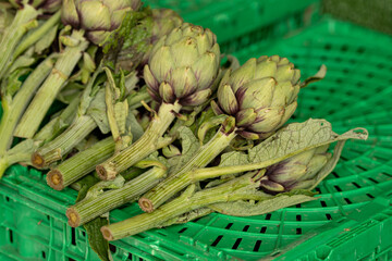 Fresh green artichokes with green leaves displayed on a counter in a street food market, close up