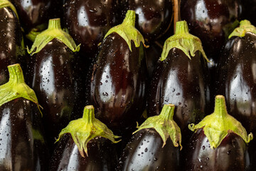 Black eggplants displayed in a row at a fruit and vegetable market