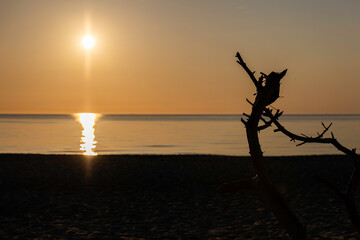 Beautiful sunset over the Baltic Sea at Darß Peninsula showcasing serene water reflections and a silhouetted branch