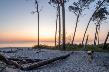 Sunset over the Baltic Sea on Darß Peninsula in Germany creates a tranquil coastal landscape