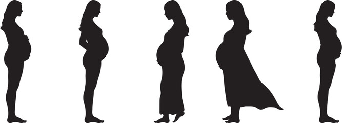 Pregnant Woman Silhouettes Stages Pregnancy Growth Motherhood Expectant