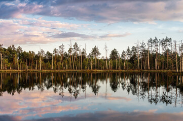 Lake "Skaistezers" at "Cena" bog