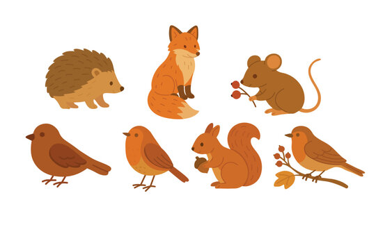 Cute forest animals in warm fall colors. Hedgehog, fox, birds, squirrel and mouse included..