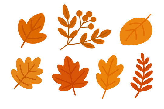 Bright and simple autumn leaves in warm colors. Flat cartoon foliage for seasonal design.
