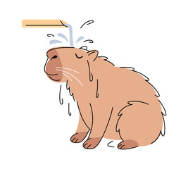 Capybara washing head hand drawn