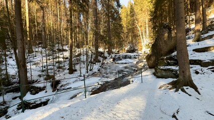A Serene Winter Forest Landscape, beautifully featuring Snow and Rocks in harmony together