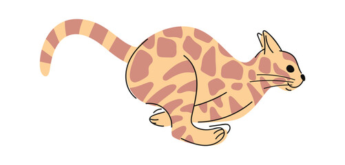 Beautiful bengal cat hand drawn