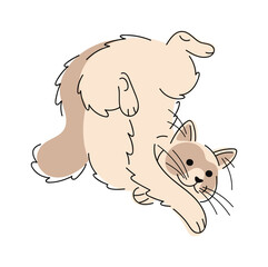 Balinese cat hand drawn doodle