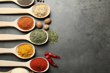 Many different spices in spoons on grey table, flat lay. Space for text