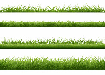 set of green grass