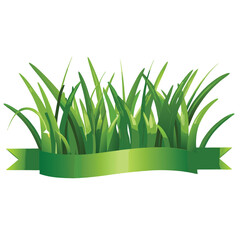 vector green grass isolated on white