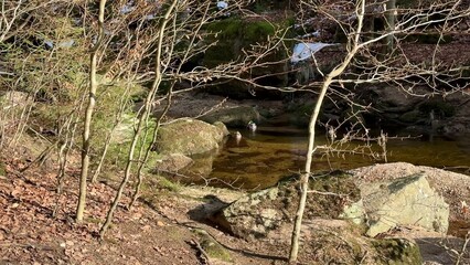 A Tranquil Stream with Large Boulders and Lush Trees in the Beauty of Early Spring