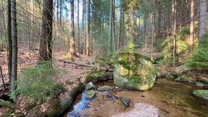 A Serene Forest Stream gently flowing with Boulders surrounded by a Lush Green Landscape