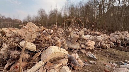 Rubble and Nature The Profound Impact of Destruction on Our Environments Ecosystem
