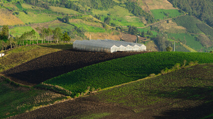 Hills of the Serrania, cold landscape in the mountains