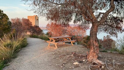 Experience a Serene Landscape Featuring Nature and a Beautiful Picnic Area by the Water