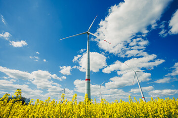 Wind turbines in a yellow field against a blue sky. Ecological energy production by windmills in...