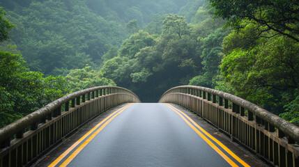 Obraz premium Bridge road forest landscape scenic travel destination green nature adventure view