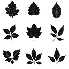 Obraz premium Assortment of nine different leaf shapes showcased as black silhouettes against white backdrop.