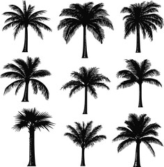 Silhouetted palm trees create a tropical atmosphere with their elegant, stylized forms.