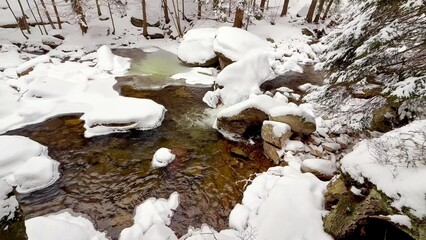 Winter forest and snowy river