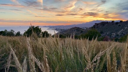 Obraz premium Stunning and breathtaking Sunset Over a Beautiful Coastal Landscape with Golden Grasses