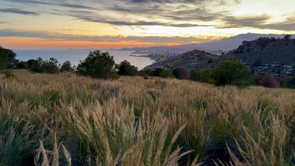 A Stunning Sunset Over a Beautiful Coastal Landscape Enriched with Lush Green Grass