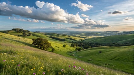 peaceful green field with cloudy sky and natural scenery