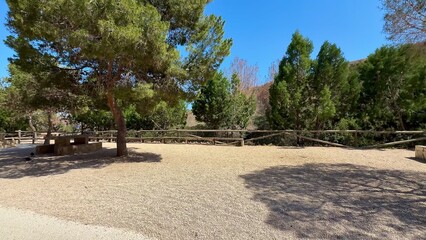 Beautiful Scenic Outdoor Space Surrounded by Trees and a Charming Gravel Pathway