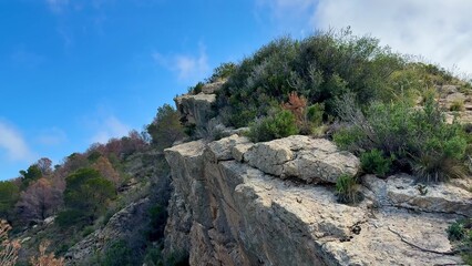 A scenic coastal landscape with stunning rocky outcrops, lush greenery, and vibrant beauty