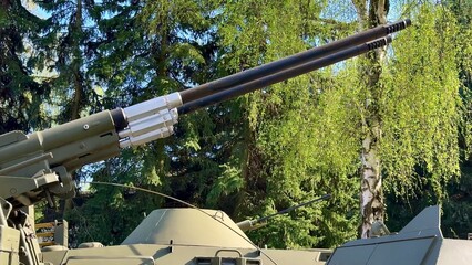 The Dual Barrel Artillery is displayed dramatically against a lush green landscape