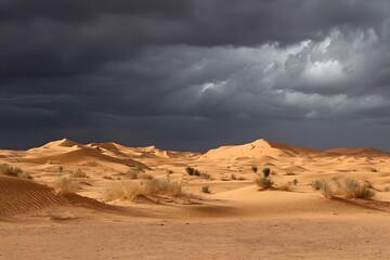 Naklejka premium Amazing sunrise over Sahara’s sandy desert dunes 