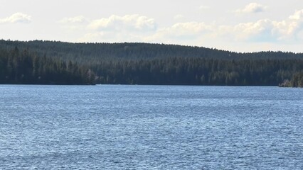 A beautiful and tranquil lake scene is found, surrounded by a lush and vibrant forest area