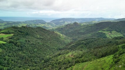 Fototapeta premium Lush and Verdant Green Valleys Stretching Out Broadly, Overlooking the Expansive Vast Ocean Beyond