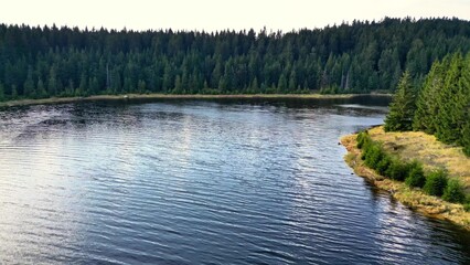 A Serene and Peaceful Reflection on a Tranquil Lake, Nestled Amongst a Lush Green Forest