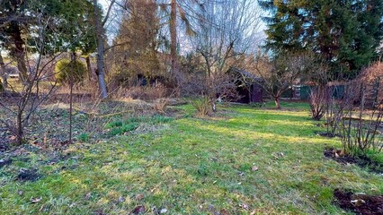 A Serene and Beautiful Garden Featuring a Rustic Shed, Embraced by Natures Beauty