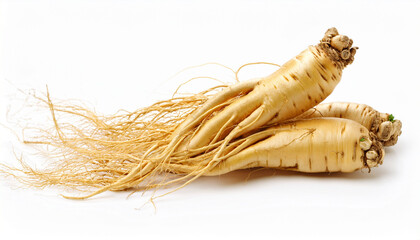 ginseng roots isolated on a white background