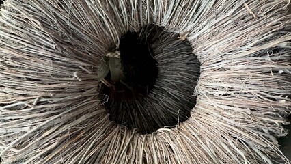 Obraz premium An Artistic Closeup Displaying the Intricate and Beautiful Texture of Natural Fiber Materials