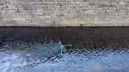 A uniquely fascinating aquatic creature is gracefully swimming close to a stone wall