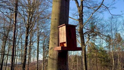 A beautifully crafted wooden birdhouse is situated on a tree within a lush forest environment
