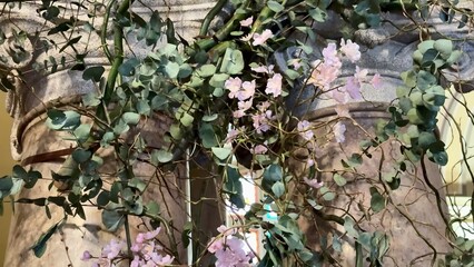 Beautiful and Captivating Floral Arrangement Complete with Vines and Lush Leaves