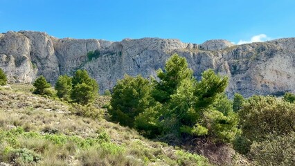 Breathtaking Mountain Landscape Featuring Lush Green Trees and Natural Beauty All Around
